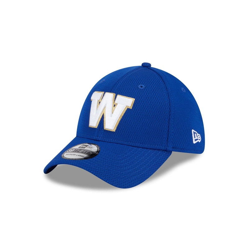 Winnipeg Blue Bombers Rear Wordmark 39THIRTY Stretch Fit Hat